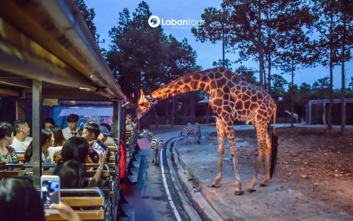 night safari phú quốc