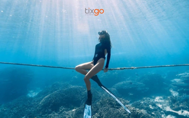 Vé lặn biển Đà Nẵng dành cho mọi lứa tuổi Vé lặn biển Đà Nẵng dành cho mọi lứa tuổi