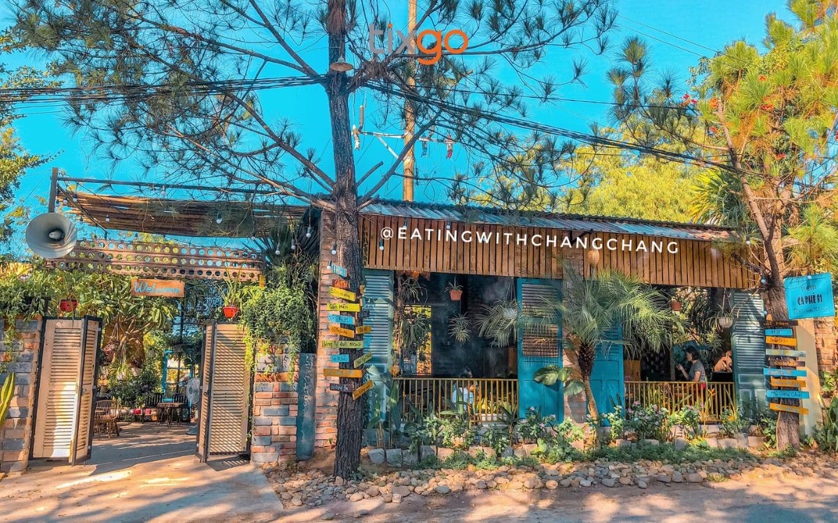 quán cafe đẹp ở huế Tiệm cà phê 81 sở hữu lối vào mộc mạc, rợp bóng cây thông xanh ngát.