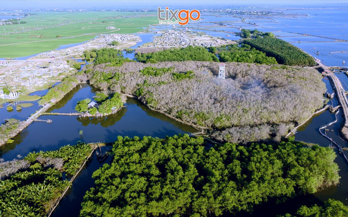 rừng rú chá Rừng Rú Chá mùa nước trong xanh