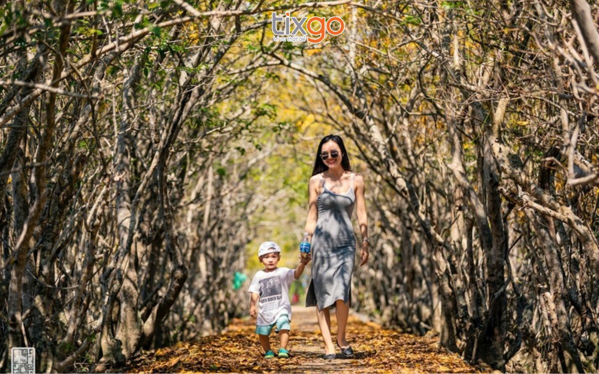 rừng rú chá Check-in ở rừng Rú Chá