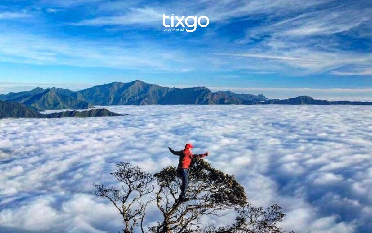 kinh nghiệm săn mây Sapa