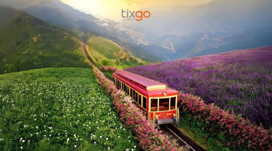 Tàu hỏa Mường Hoa là tuyến tàu hỏa leo núi hiện đại nhất Việt Nam