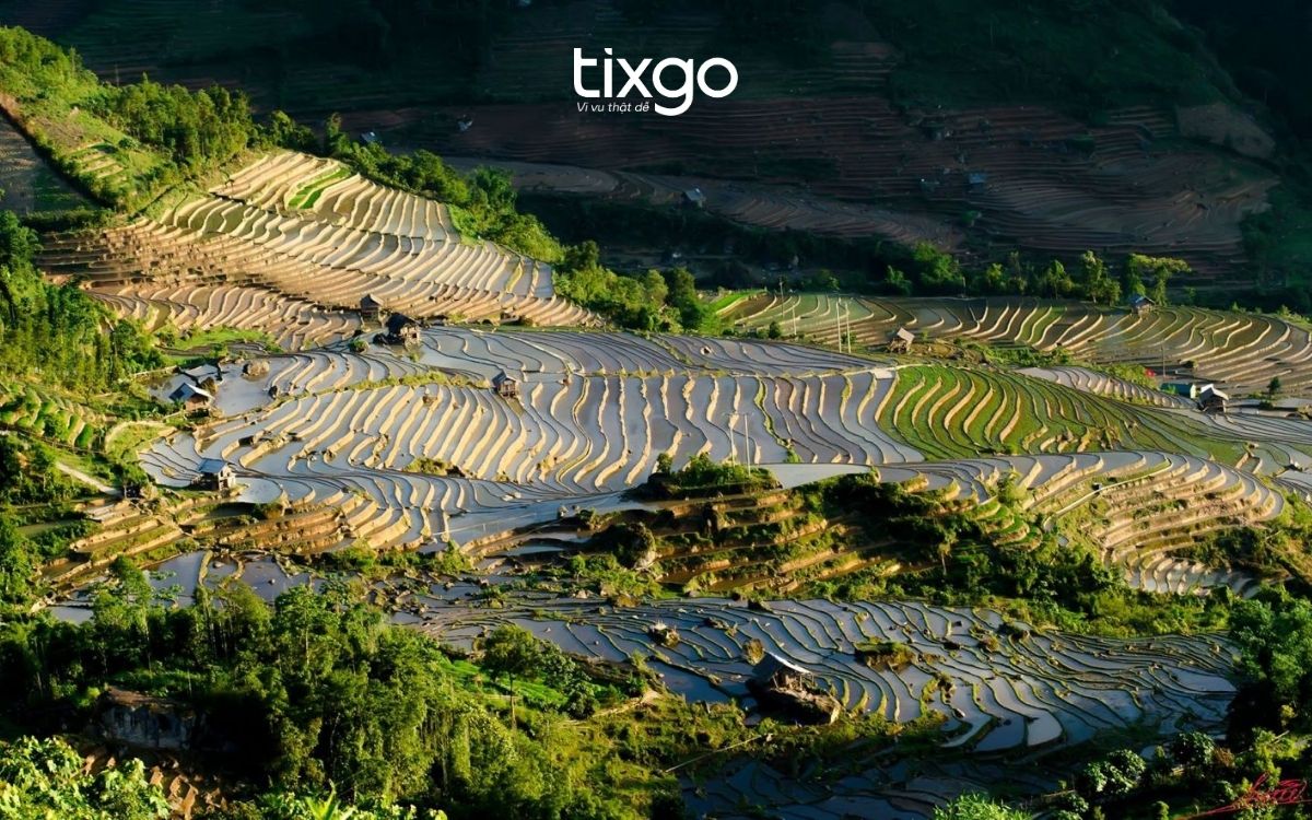 Mùa nước đổ ở Sapa tạo thành những tấm gương trời khổng lồ mùa nước đổ Sapa