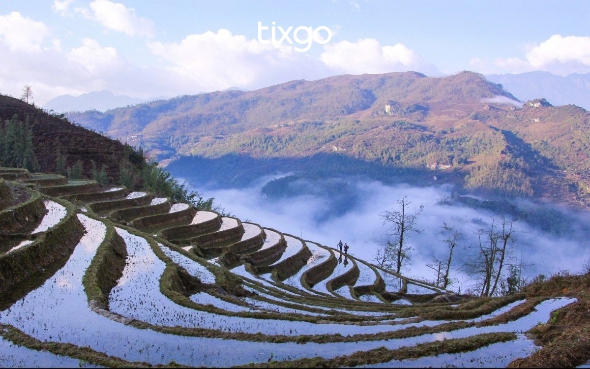 Ngắm toàn cảnh ruộng bậc thang tại Sapa mùa nước đổ mùa nước đổ Sapa