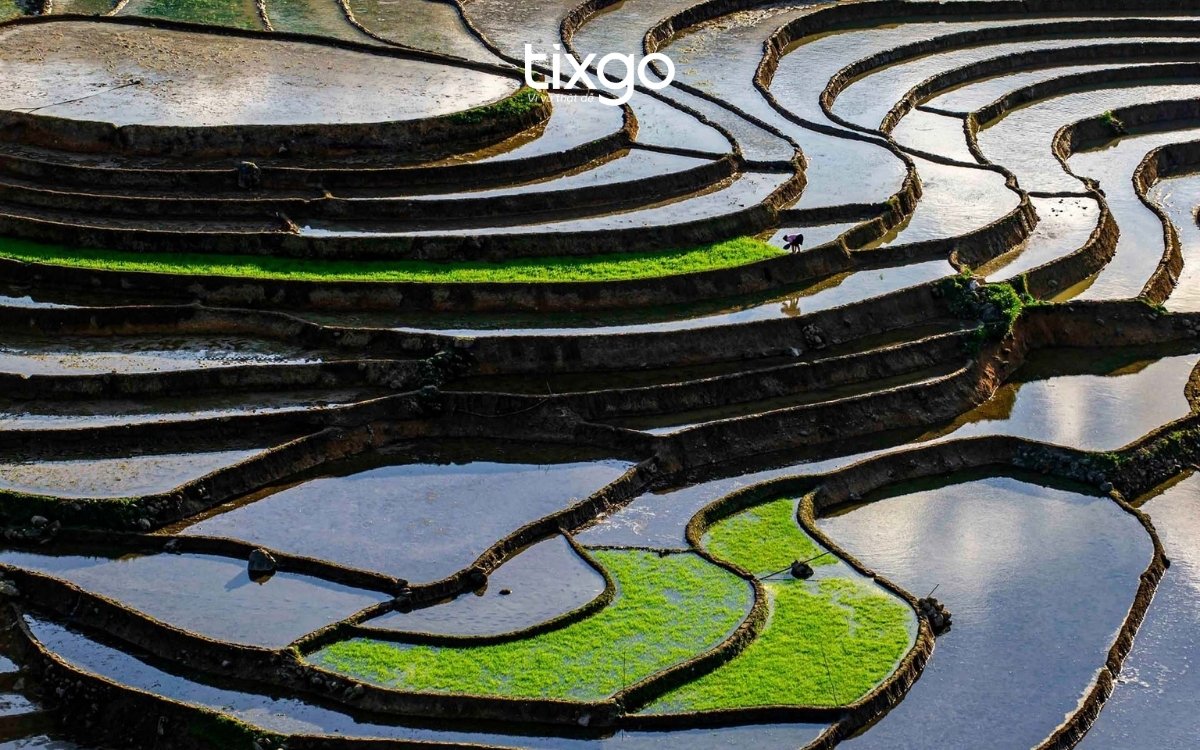 Ngắm nhìn gương trời mùa nước đổ Sapa tại Đèo Ô Quy Hồ Sapa mùa nước đổ