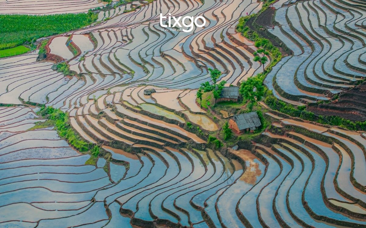 Khám phá ruộng bậc thang Sapa mùa nước đổ tại Tả Phìn sapa mùa nước đổ