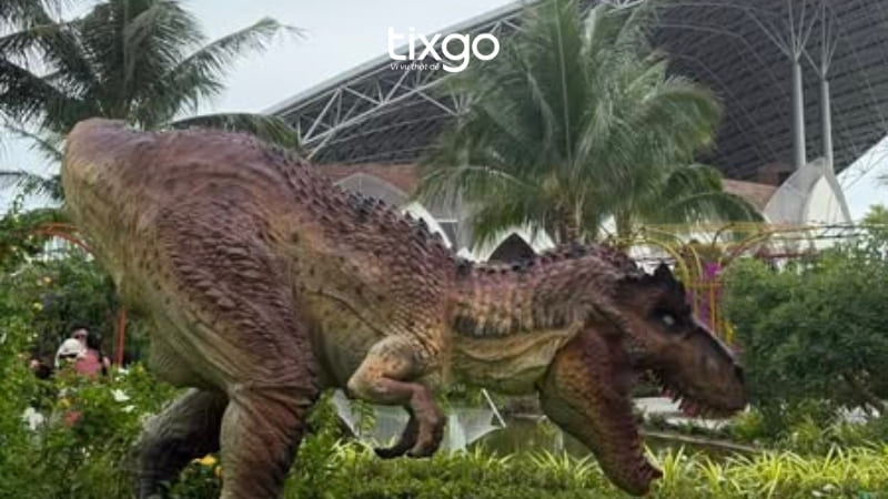 Những trải nghiệm khác tại Show cá heo Đà Nẵng