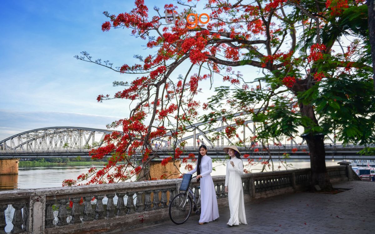 Sông Hương rực rỡ sắc hoa phượng đỏ vào những ngày đầu mùa hè.
