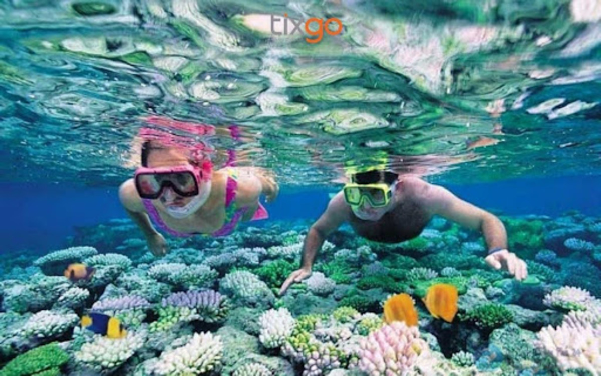 Thử thách lặn ngắm san hô tại Sơn Trà