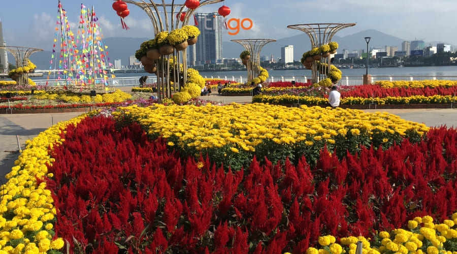 Đà Nẵng rộn ràng không khí xuân với những con đường hoa