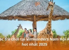 Tixgo | Vi vu thật dễ