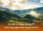 Có nên đi Sapa tháng 7? Mùa lúa trổ đòng xanh mướt