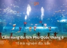 Tixgo | Vi vu thật dễ Cẩm nang du lịch Phú Quốc tháng 6/2026: 10 trải nghiệm độc bản