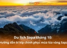 Du lịch Sapa tháng 10: Bí kíp chinh phục mùa lúa vàng Sapa [Hot 2026]
