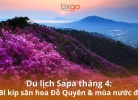 Tixgo | Vi vu thật dễ Du lịch Sapa tháng 4: Cẩm nang săn hoa Đỗ Quyên & mùa nước đổ Sapa