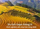 Tixgo | Vi vu thật dễ Du lịch Sapa tháng 9: Cẩm nang kinh nghiệm săn mùa lúa vàng 2026