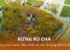 Tixgo | Vi vu thật dễ Rừng Rú Chá - Lá phổi xanh “độc nhất vô nhị”