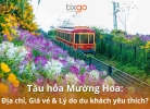 Tàu hỏa Mường Hoa: Địa chỉ, Giá vé & Lý do du khách yêu thích?