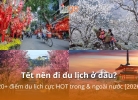 Tết nên đi du lịch ở đâu? 20+ điểm du lịch cực HOT trong & ngoài nước [2027] 