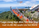 Tixgo | Vi vu thật dễ