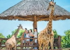 [Hot nhất] VinWonders Nam Hội An tung loạt ưu đãi siêu hời!