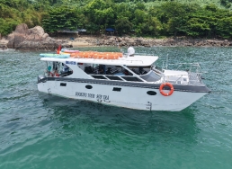 Tixgo | Vi vu thật dễ