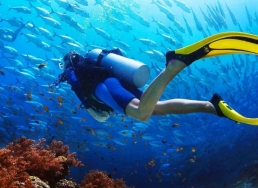 Tixgo | Vi vu thật dễ