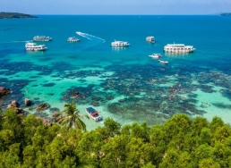 Tixgo | Vi vu thật dễ