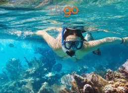 Tixgo | Vi vu thật dễ