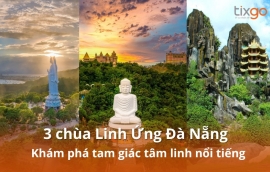 Tixgo | Vi vu thật dễ