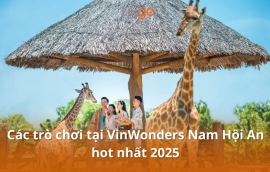 Tixgo | Vi vu thật dễ
