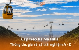 Tixgo | Vi vu thật dễ