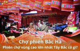 Chợ phiên Bắc Hà: Từ A-Z linh hồn văn hóa vùng cao không thể bỏ lỡ ở Sa Pa