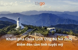 Tixgo | Vi vu thật dễ