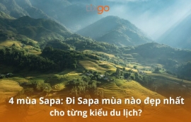 Đi Sapa mùa nào đẹp? So sánh chi tiết từng mùa để chọn đúng thời điểm