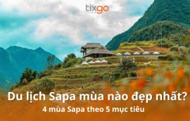Du lịch Sapa mùa nào đẹp nhất? Khám phá 4 mùa Sapa theo 5 mục tiêu