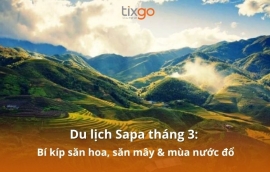 Du lịch Sapa tháng 3: Bí kíp săn hoa, săn mây & mùa nước đổ