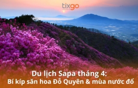 Du lịch Sapa tháng 4: Cẩm nang săn hoa Đỗ Quyên & mùa nước đổ Sapa