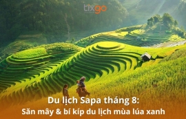 Du lịch Sapa tháng 8: Cẩm nang săn mây & mùa lúa non xanh A-Z