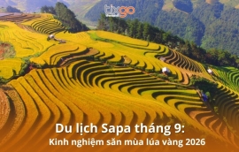 Du lịch Sapa tháng 9: Cẩm nang kinh nghiệm săn mùa lúa vàng 2026