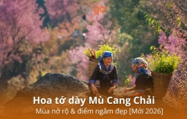 Tixgo | Vi vu thật dễ