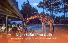 Tixgo | Vi vu thật dễ