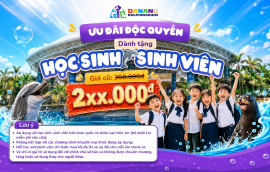 Show cá heo & hải cẩu Đà Nẵng tung ưu đãi hot cho Học sinh - Sinh viên!