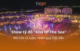 Tixgo | Vi vu thật dễ