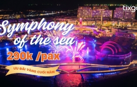 Tixgo | Vi vu thật dễ