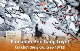 Tixgo | Vi vu thật dễ