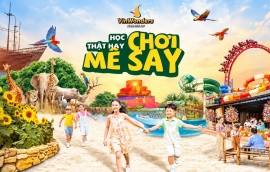Tixgo | Vi vu thật dễ