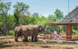 Tixgo | Vi vu thật dễ Săn vé VinWonders Nam Hội An chỉ từ 238K cho cư dân 11 tỉnh thành