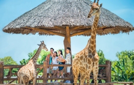 [Hot nhất] VinWonders Nam Hội An tung loạt ưu đãi siêu hời!
